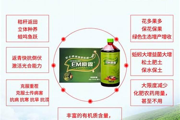 增加免疫力吃什么好