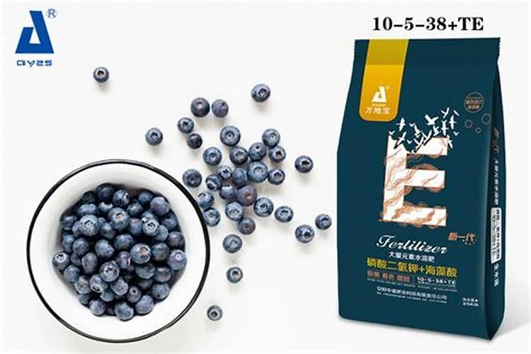 种蓝莓用什么肥料好