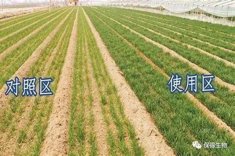 简述有机肥料种类和作用