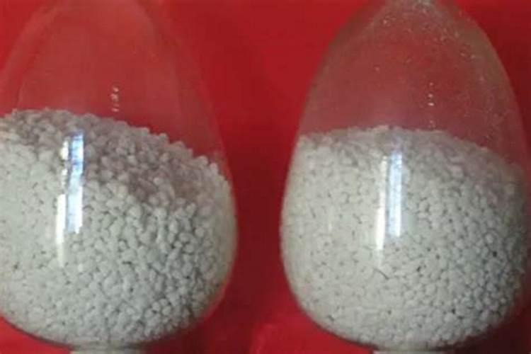 襄阳春季有哪些花看？有哪些看花的地方推荐？