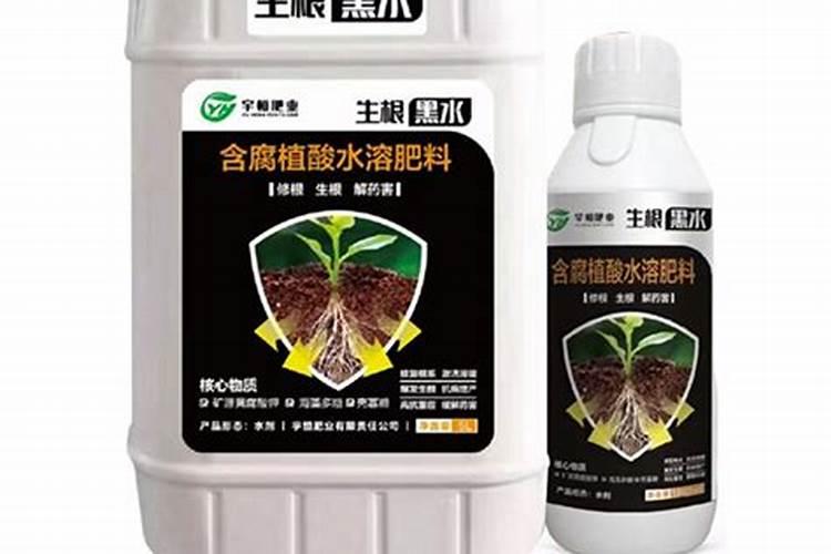南方红豆杉适合室外种植吗？