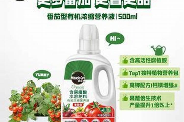 锦鲤观赏鱼成品饲料需要泡后再喂吗