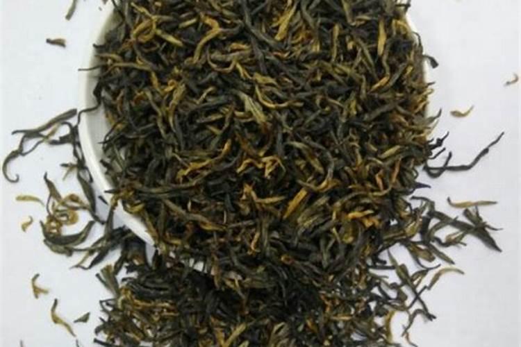 12卷怎么养十二卷多肉的养护方法