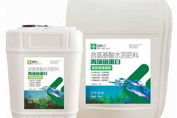 海藻精对植物的作用(肥料海藻精使农作物提早成熟提高产量)