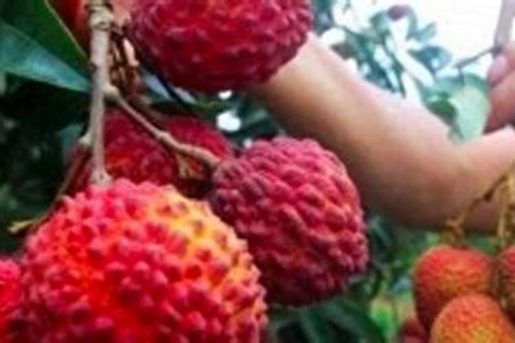 快宝机器人怎么突然没了