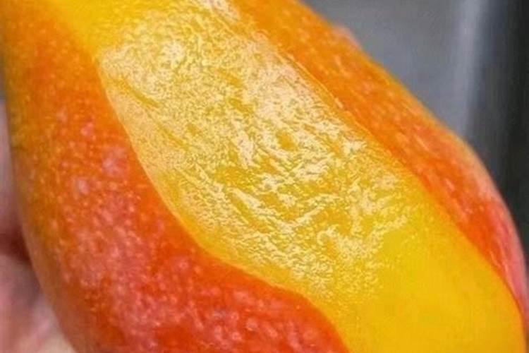 芒果催花,用什么比较好