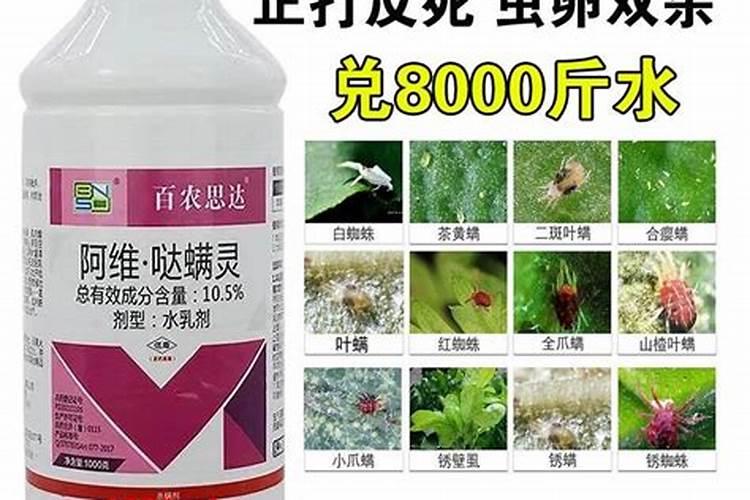 池塘里蓝藻怎么处理鱼塘长蓝藻是什么原因