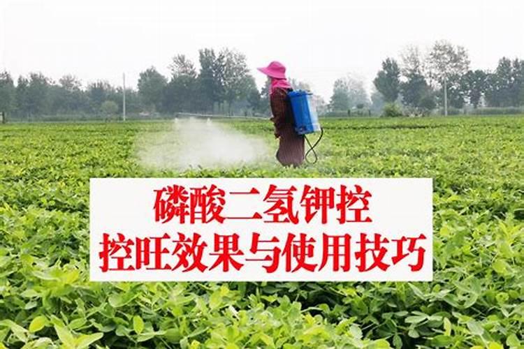 农技 ▌为什么要选择水溶肥？水溶肥有什么好