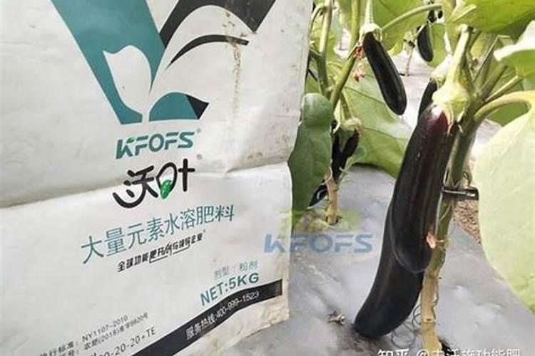 果树怎么施水溶肥？