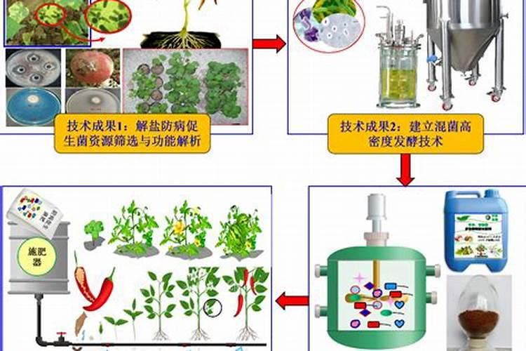有机水溶肥是什么肥料
