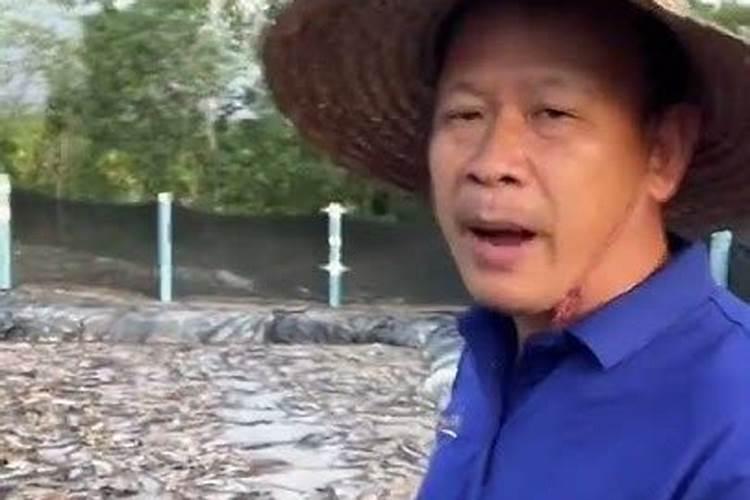 槟榔上需要用鱼蛋白吗？