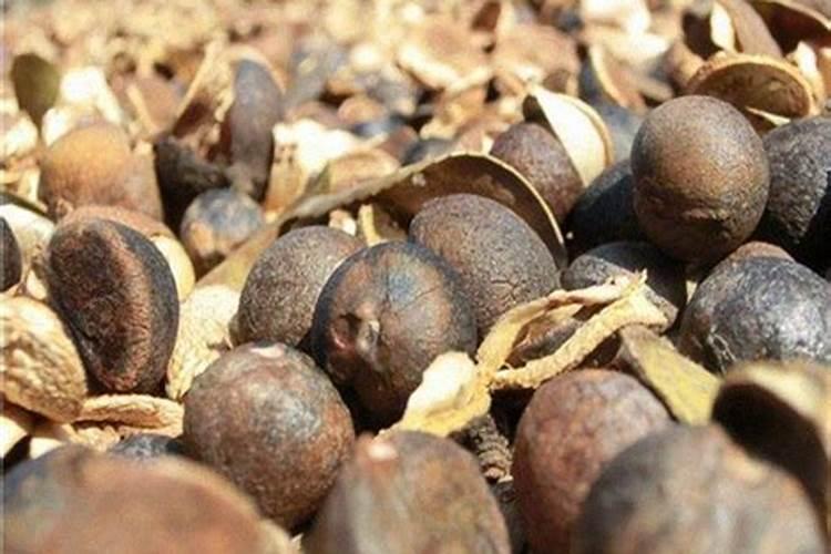 茶麸发霉可以做花肥吗