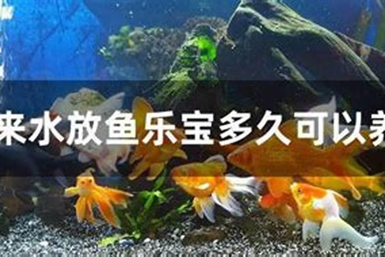 菌肥怕太阳晒吗