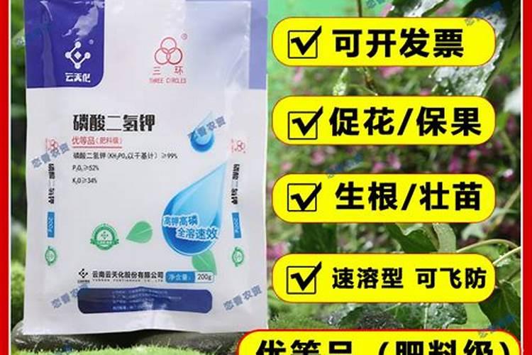 大颗粒氮肥和普通氮肥价格差多少