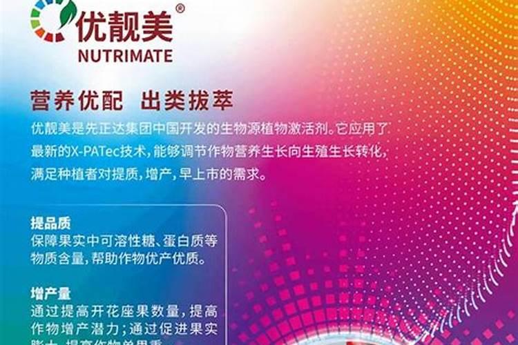 磷化工概念龙头股清单？