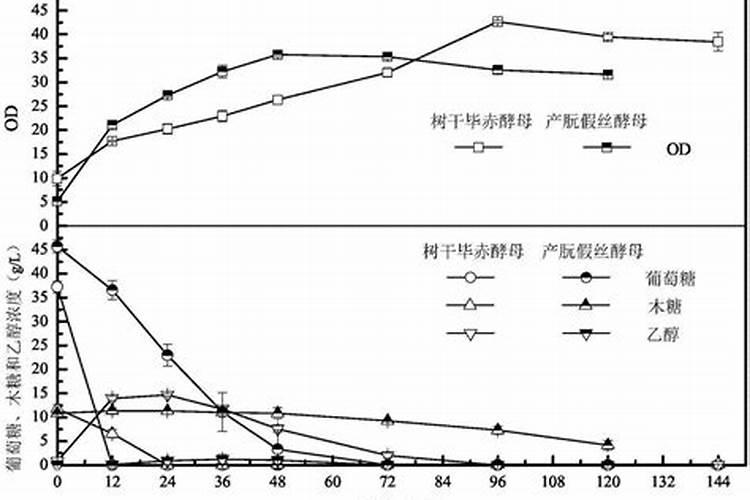 玉米发酵做肥料