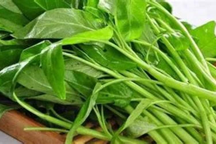 空心菜黄叶用什么肥和药