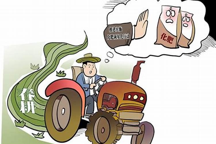 肥料施入土壤后多久能见效(肥料放在土里有效期是多久)