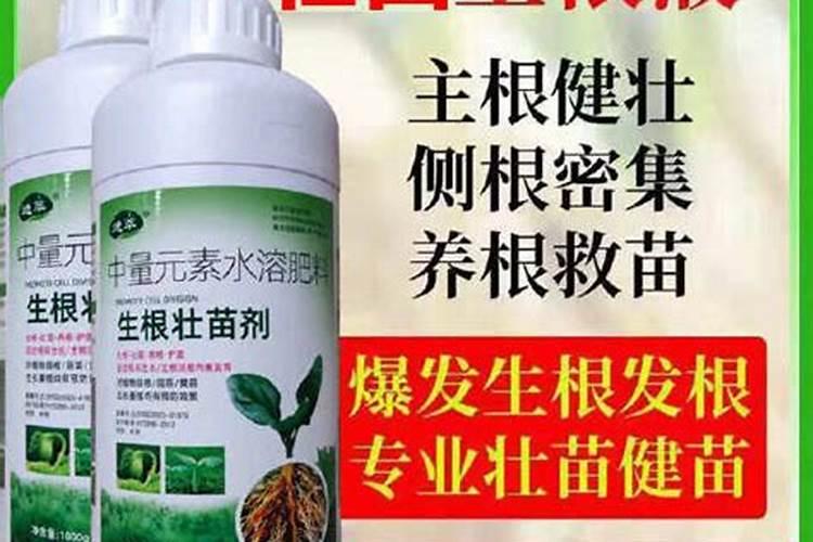 水稻叶面肥什么时候施最好水稻叶施肥注意事项