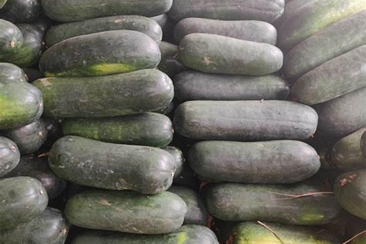 冬瓜用什么肥料最好