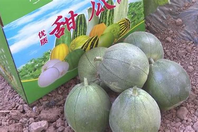 黄腐酸钾对农作物的作用 使用禁忌有哪些