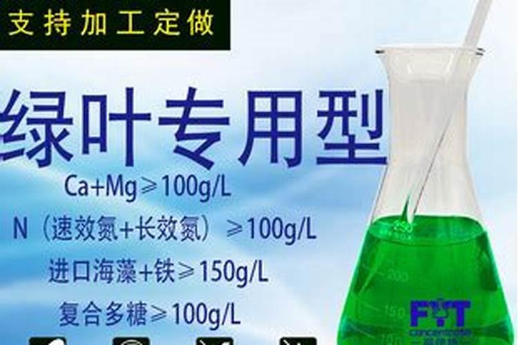 水培绿萝用什么肥料长得快