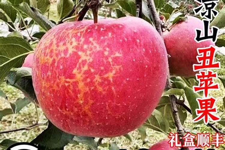 辣椒施肥用红糖好不好