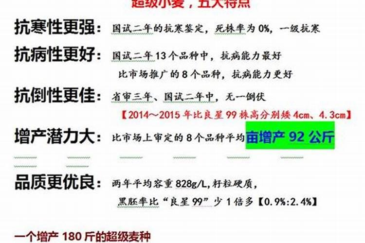 新会陈皮柑一棵树会统一成熟吗？