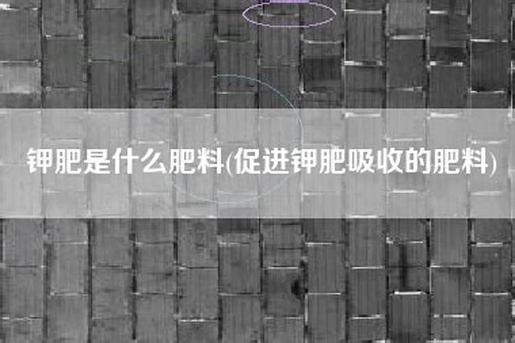钾肥对植物的作用