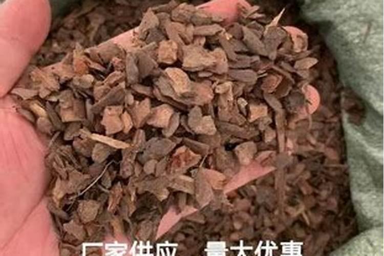 松树皮怎么发酵