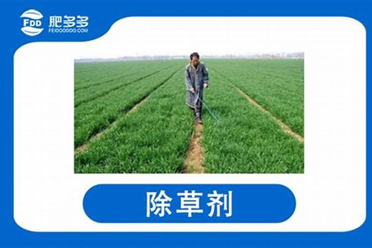 尿素可以撒施,正确的施肥方法？