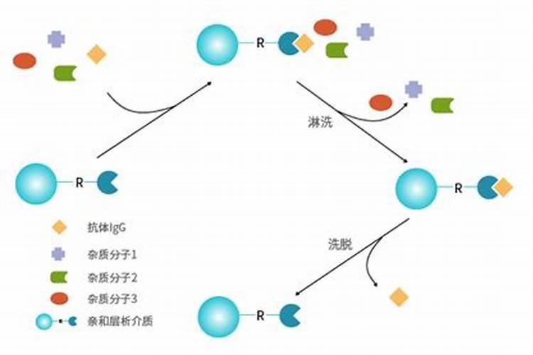 液体硅肥和螯合硅哪个好