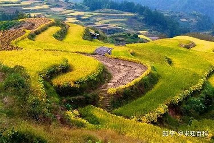 中国十大最美梯田
