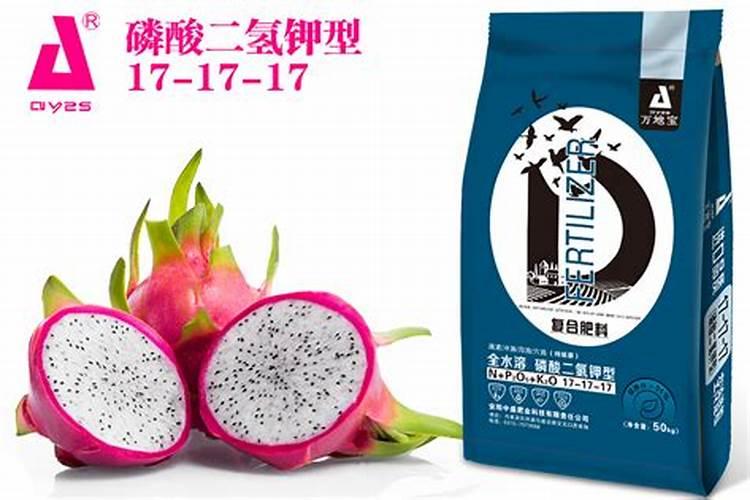 怎样给火龙果施肥