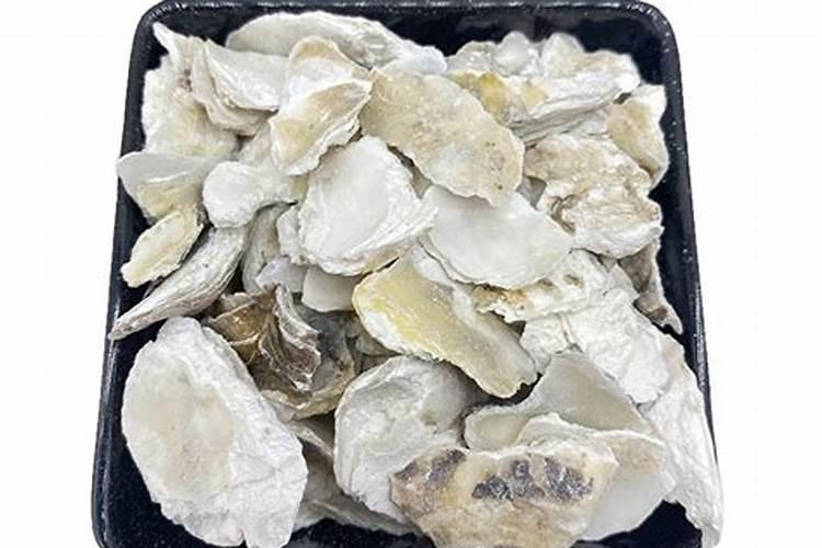 海蛎子怎么清洗