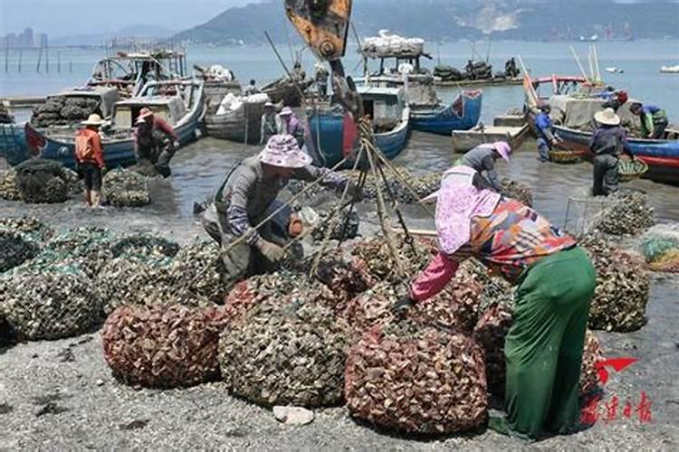 海蛎子怎么做 炸至浅黄色时捞出