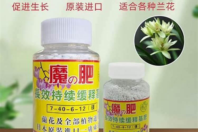 用什么给兰花施肥比较好