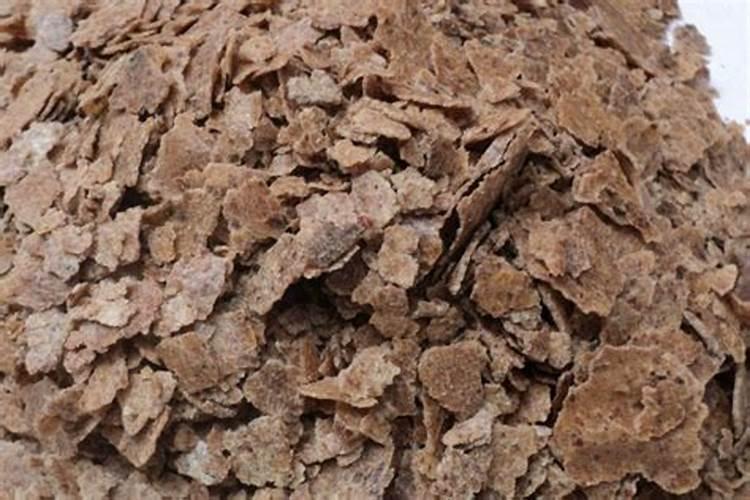 麦茬玉米怎样管理才能高产？有什么好的办法？