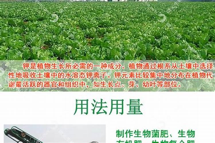 如何使用钾肥？