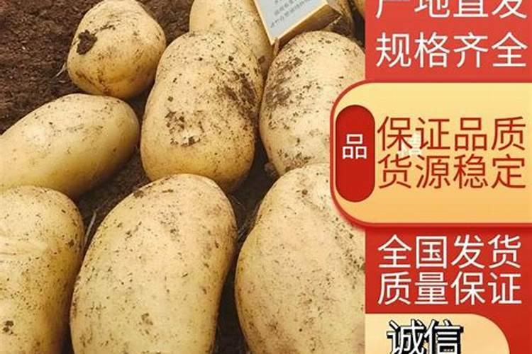土豆施什么肥料好