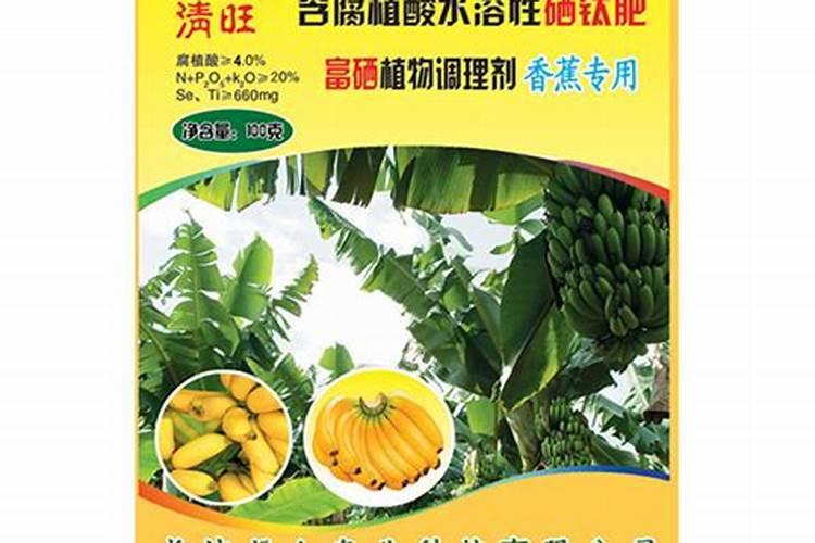 种植茄子发生了冻害,都有哪些注意事项？