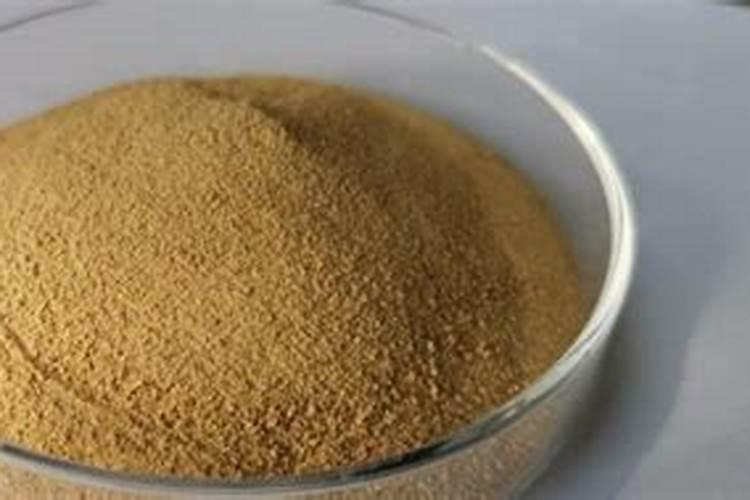 珍珠枣油桃用什么树形产量高