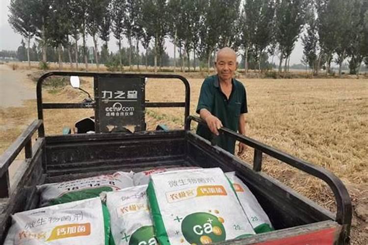 扬州八怪是哪些人？怪在哪里？