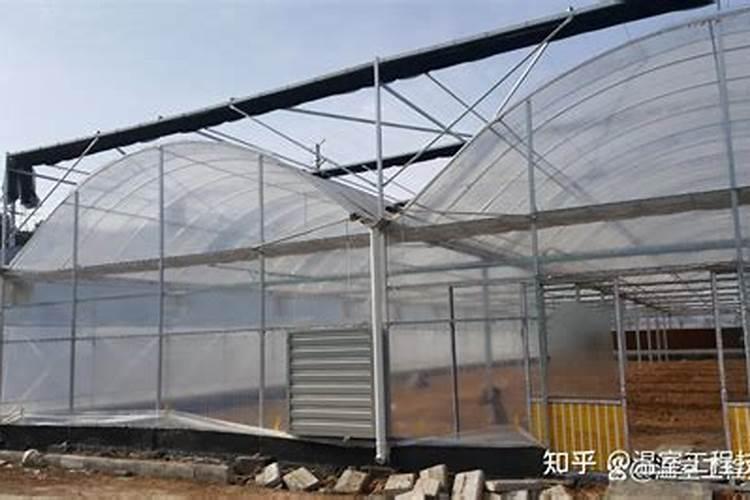 温室大棚钙肥应用注意事项