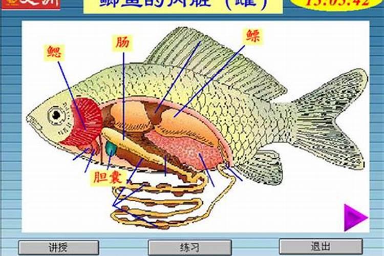 快速自制氮肥的方法,氮肥是什么肥