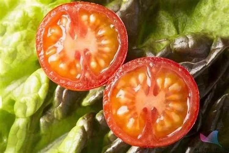 樱桃树可以种在阳光房吗？ 吃过的樱桃核放土里自己发芽长出小苗了,怎...