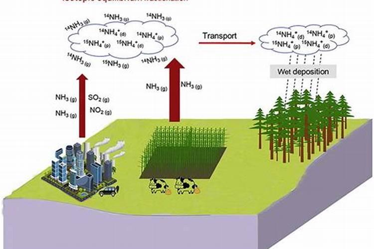 什么是三聚氰氨