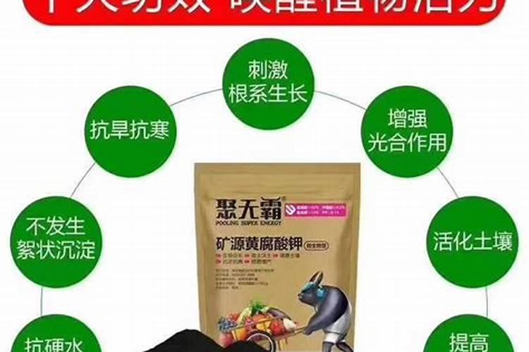 化粪池满了用化粪剂可以吗