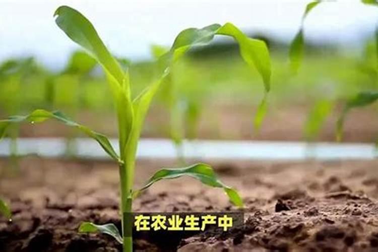 如何提高氮肥磷肥钾肥的利用率 提高氮肥磷肥钾肥的利用率方法