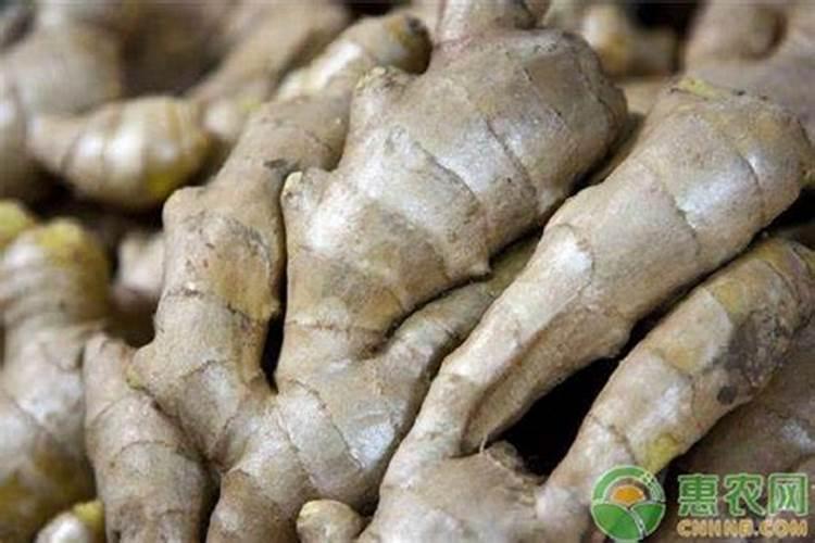 生姜用什么肥料才高产 附施肥方法